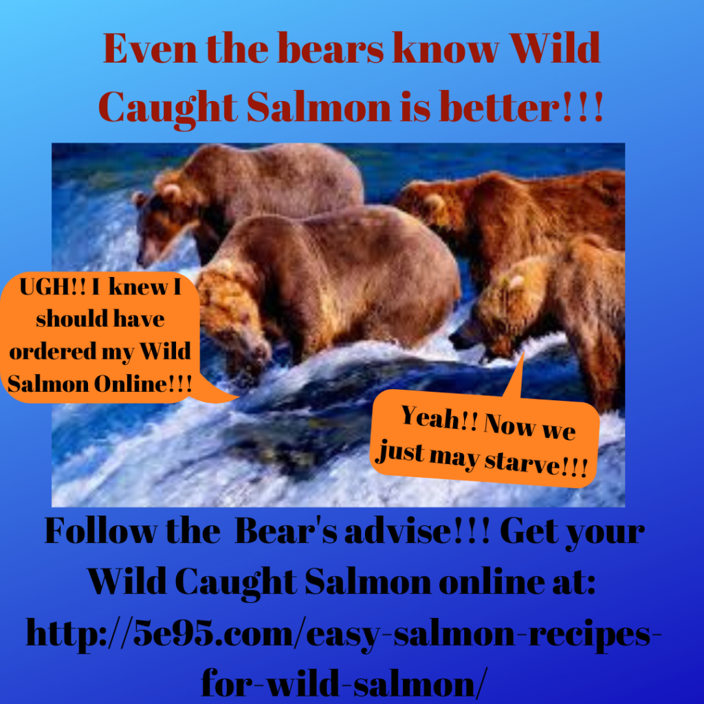 salmon recipes
