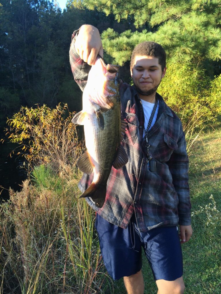 bass fishing lures