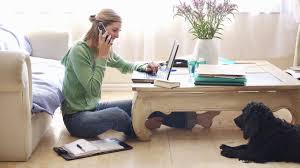 lady working from home with dog at her feet Affiliate Marketing 