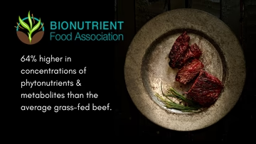 This nutrient dense beef is 64% higher in concentration of metabolic nutrients than average grass-fed beef. 